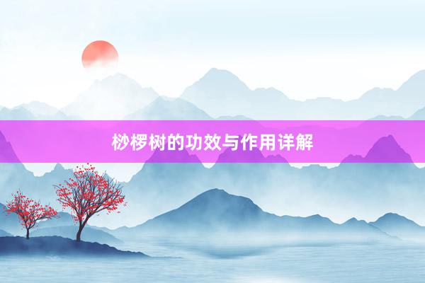 桫椤树的功效与作用详解