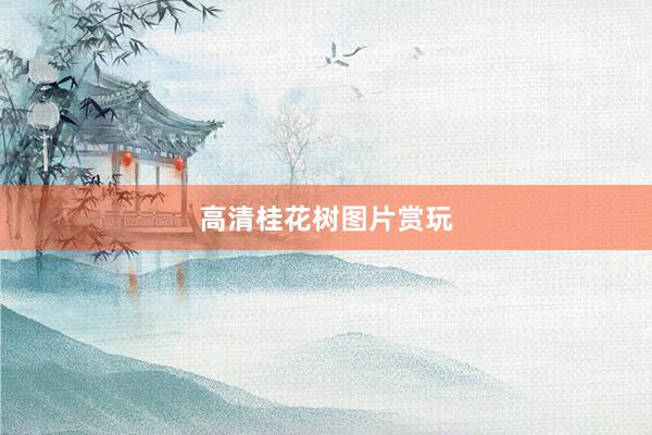 高清桂花树图片赏玩