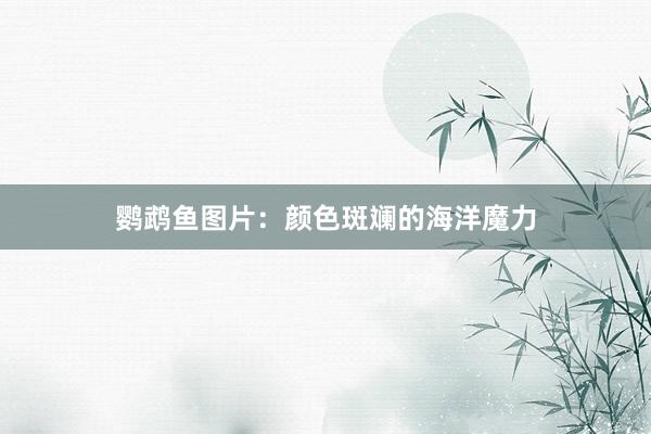 鹦鹉鱼图片:颜色斑斓的海洋魔力